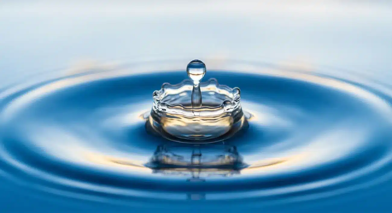Water filters